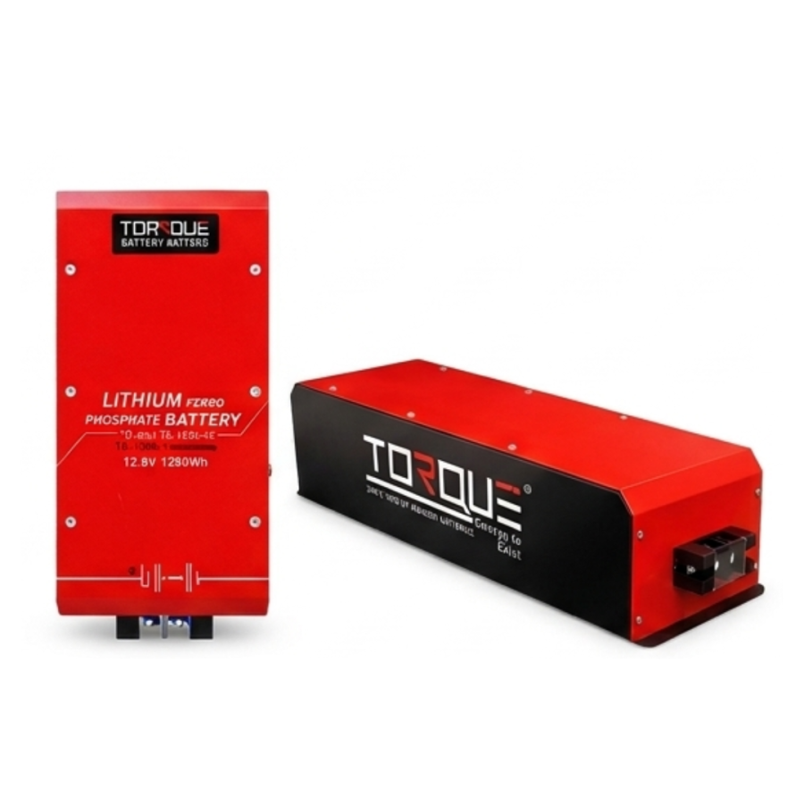 Torque Lithium Ferro Phosphate Battery for Inverter 100Ah 12V